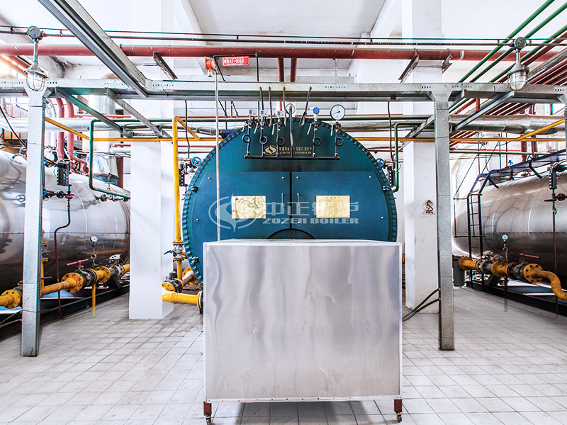 金新農(nóng)飼料4噸WNS系列冷凝式燃氣鍋爐項目